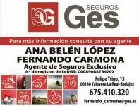 SEGUROS GES Colaborador Atletico Pueblonuevo